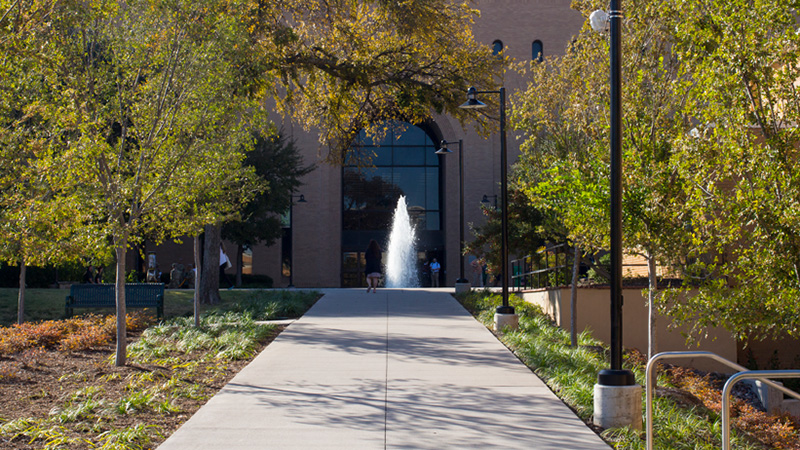 University Libraries